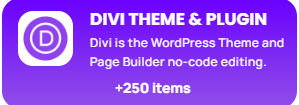Divi Themes and Plugins